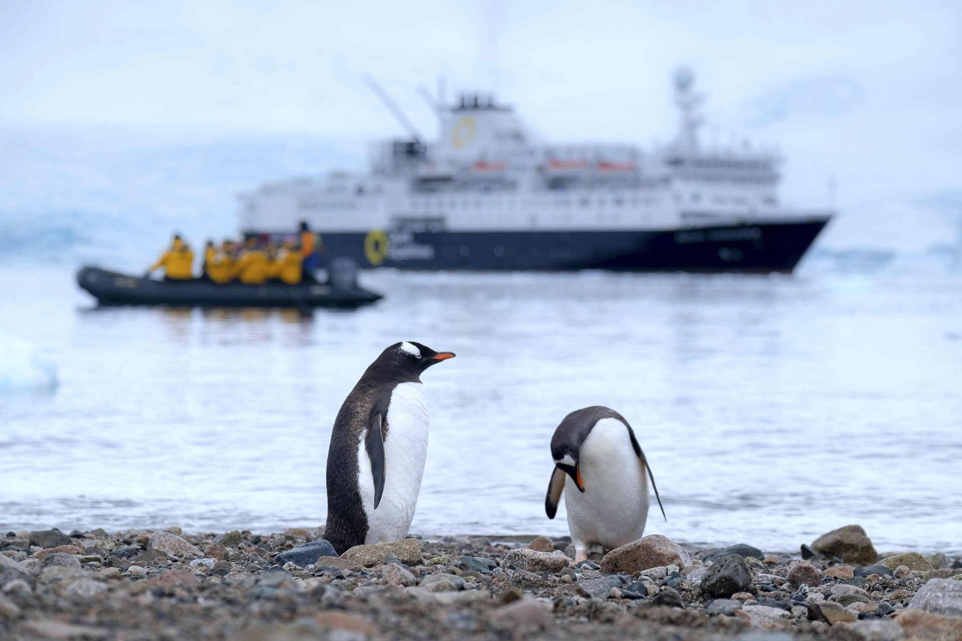 Expeditiecruise Antarctica | Mira Tours – Reisbureau Haacht