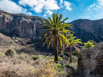 41094,1,eux2606-grancanaria