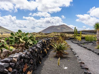 41099,1,eux2606-lanzarote-3