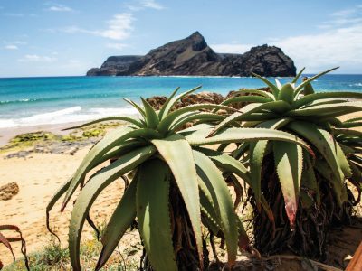 41111,1,02-porto-santo036-hl-f39-300